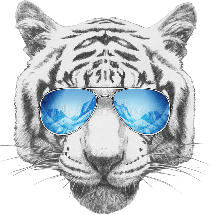 Tiger Eye